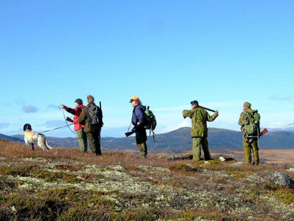 OVER GAUSDAL: Jaktlaget nyter utsikten over Gausdal-Vestfjell. OVER GAUSDAL: Jaktlaget nyter utsikten over Gausdal-Vestfjell.