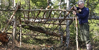 4. Du trenger flere rajer på taket om du skal ha granbar der enn om du bruker plast. 4. Du trenger flere rajer på taket om du skal ha granbar der enn om du bruker plast.