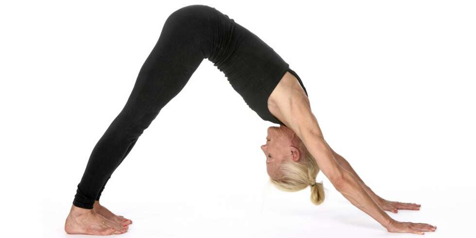 DOWNWARD DOG: Du strekker hele baksiden av kroppen din, inkludert ryggsøylen og bakside lår. DOWNWARD DOG: Du strekker hele baksiden av kroppen din, inkludert ryggsøylen og bakside lår.