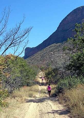 AFRIKA: Løp maraton blant Afrikas ville dyr. AFRIKA: Løp maraton blant Afrikas ville dyr.