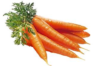 SUNNE OG GODE: Men gjør de deg brunere? Foto: Opplysningskontoret for frukt og grønt SUNNE OG GODE: Men gjør de deg brunere? Foto: Opplysningskontoret for frukt og grønt