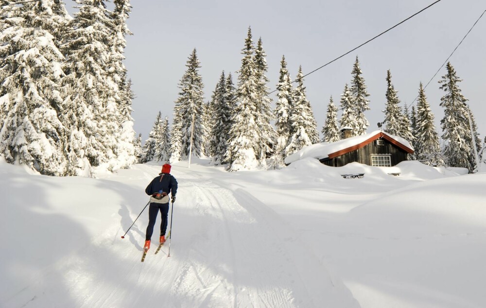 GJØR DET NÅ: Gå på ski nå før snøen forsvinner. Med kulde og solskinn er været perfekt for en skitur. GJØR DET NÅ: Gå på ski nå før snøen forsvinner. Med kulde og solskinn er været perfekt for en skitur.
