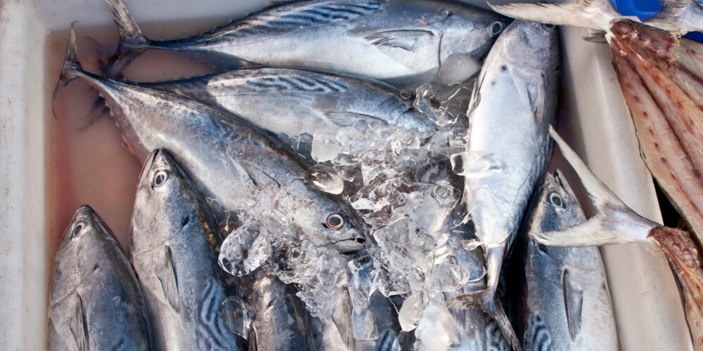 HJERTEVENNLIG: Ta omega-3 tilskudd og spis fet fisk to ganger per uke, råder Apotek 1. ILLUSTRASJONSFOTO: Colourbox HJERTEVENNLIG: Ta omega-3 tilskudd og spis fet fisk to ganger per uke, råder Apotek 1. ILLUSTRASJONSFOTO: Colourbox