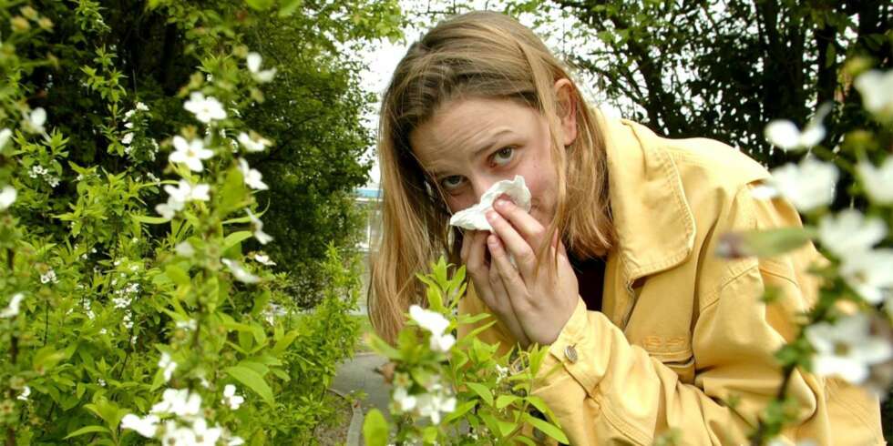 MYE PENGER: Hvis du går på allergimedisin det meste av sommeren, er det smart for lommeboken å takke ja til generisk bytte. MYE PENGER: Hvis du går på allergimedisin det meste av sommeren, er det smart for lommeboken å takke ja til generisk bytte.