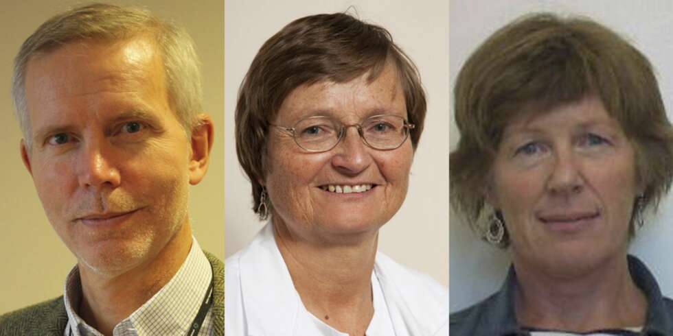 SMERTEEKSPERTER: F.v. Overlege Morten Finckenhagen i Statens Legemiddelverk. Hilde Berner Hammer, assisterende avdelingsoverlege ved revmatologisk avdeling, Diakonhjemmet sykehus. Kari Furu, leder av Bivirkningsnemnda. SMERTEEKSPERTER: F.v. Overlege Morten Finckenhagen i Statens Legemiddelverk. Hilde Berner Hammer, assisterende avdelingsoverlege ved revmatologisk avdeling, Diakonhjemmet sykehus. Kari Furu, leder av Bivirkningsnemnda.
