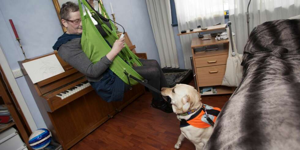 HJELPSOM: Carmen er klar for en ny dag på jobb. Labradoren hjelper til med alt mulig. HJELPSOM: Carmen er klar for en ny dag på jobb. Labradoren hjelper til med alt mulig.