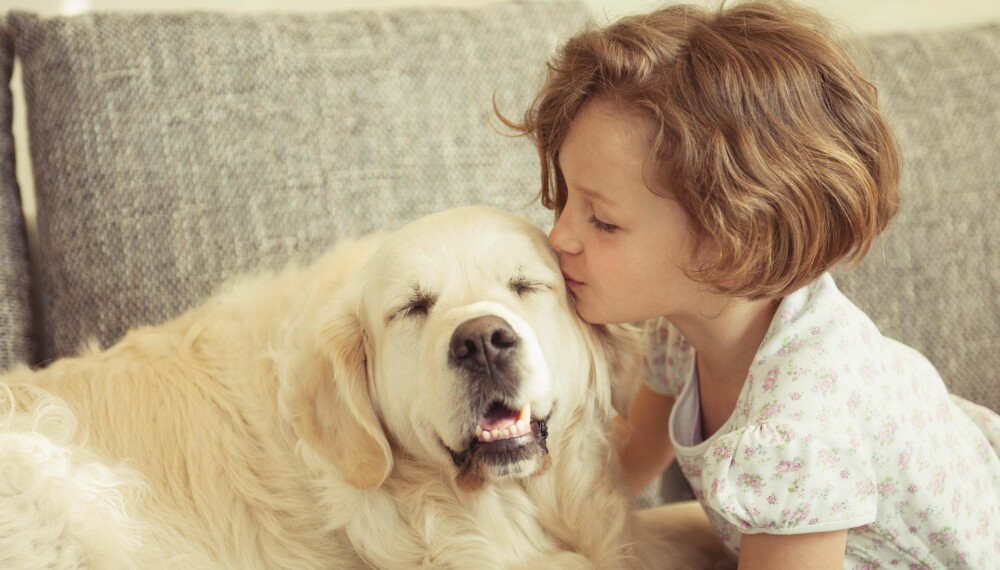 HÅNDHYGIENE: Vask alltid hendene og eventuelt ansiktet etter at du har vært i kontakt med et dyr, råder ekspertene. ILLUSTRASJONSFOTO: Thinkstockphotos HÅNDHYGIENE: Vask alltid hendene og eventuelt ansiktet etter at du har vært i kontakt med et dyr, råder ekspertene. ILLUSTRASJONSFOTO: Thinkstockphotos