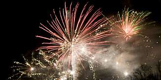 Fireworks for the New Year.
Photo: Andreas L Eriksson Code: 2054
COPYRIGHT STELLA PICTURES Fireworks for the New Year.
Photo: Andreas L Eriksson Code: 2054
COPYRIGHT STELLA PICTURES