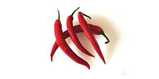 HEMMELIG INGREDIENS 1: Chili får fart på kjøttkakene. HEMMELIG INGREDIENS 1: Chili får fart på kjøttkakene.