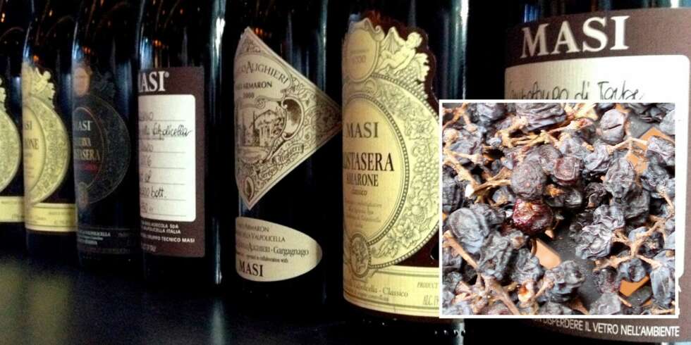 AMARONE: Masi er en av de største produsentene av amarone, og de lager flere varianter. Amarone lages av tørkede druer (innfelt). AMARONE: Masi er en av de største produsentene av amarone, og de lager flere varianter. Amarone lages av tørkede druer (innfelt).