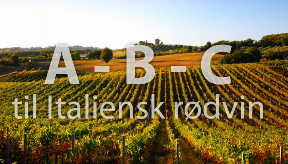 ITALIENSK VIN: Italia er full av god vin. Her får du en kjapp innføring i Amarone, Brunello og Chianti. ITALIENSK VIN: Italia er full av god vin. Her får du en kjapp innføring i Amarone, Brunello og Chianti.