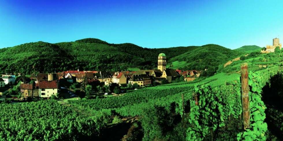 ALSACE: Vinmarker i Kaysersberg. ALSACE: Vinmarker i Kaysersberg.
