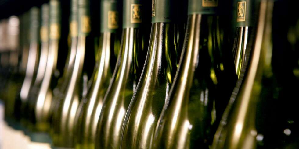 VIN PÅ TILBUD: Disse vinene er på tilbud i september. VIN PÅ TILBUD: Disse vinene er på tilbud i september.