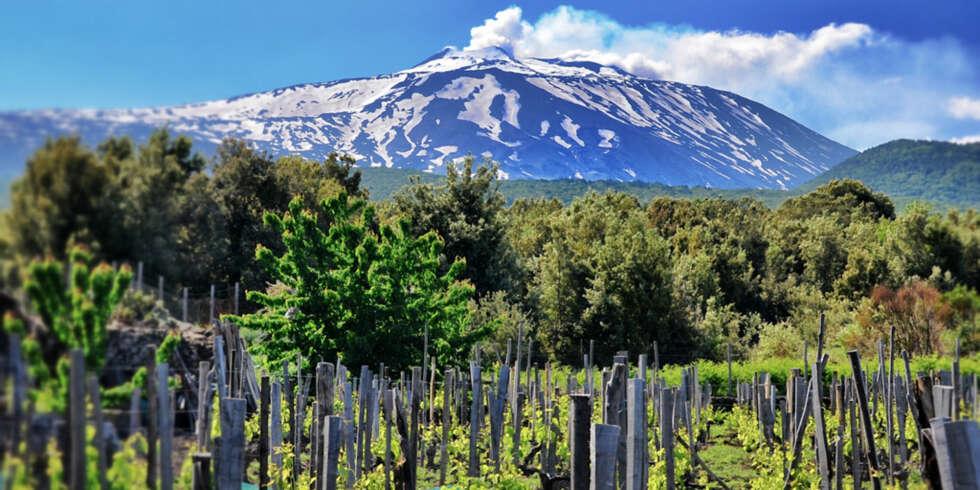 VINMESSE: Bli med på vinmesse med fokus på Sicilia! VINMESSE: Bli med på vinmesse med fokus på Sicilia!
