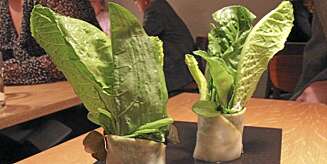 FØRSTE RETT: Salatblader med sellerirot. FØRSTE RETT: Salatblader med sellerirot.