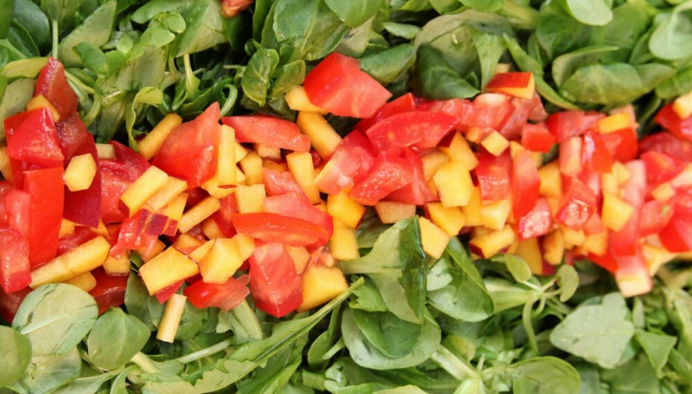 MED NEKTARIN: Lag en lett salat med tomat og nektarin. Godt og fargerikt. MED NEKTARIN: Lag en lett salat med tomat og nektarin. Godt og fargerikt.