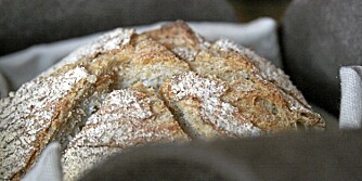 Noma Noma