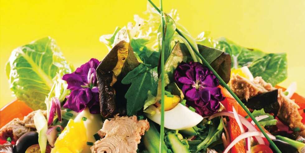 FRA MIDDELHAVET: Salat niçoise med tunfisk © KINA OSAN/ULLA WESTBØ/H2W © KINA OSAN/ULLA WESTBØ/H2W FRA MIDDELHAVET: Salat niçoise med tunfisk © KINA OSAN/ULLA WESTBØ/H2W © KINA OSAN/ULLA WESTBØ/H2W
