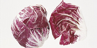 Radicchio Radicchio