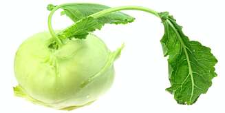 GRØNN HØST: Knutekål. Foto: Istockphoto GRØNN HØST: Knutekål. Foto: Istockphoto