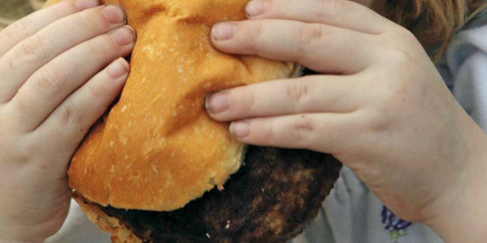 HAM-NAM: USAs 12 beste burgere danker ut McDonalds. HAM-NAM: USAs 12 beste burgere danker ut McDonalds.
