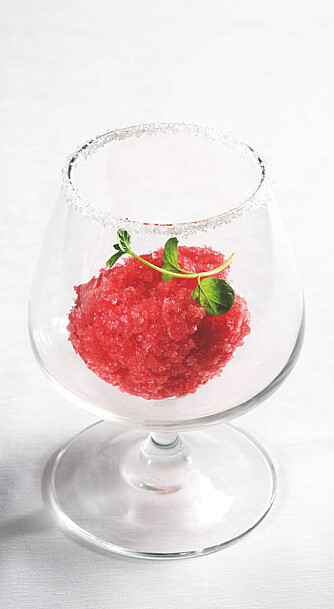 DESSERT: Granité, en slags grov sorbet, med blodappelsin. Kan spises både som dessert og som en hvilerett innimellom andre retter. DESSERT: Granité, en slags grov sorbet, med blodappelsin. Kan spises både som dessert og som en hvilerett innimellom andre retter.