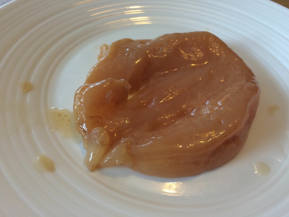 SCOBY: Slik ser en SCOBY ut. Ikke vakkert, men så er det heller ikke denne som skal fortæres. SCOBY: Slik ser en SCOBY ut. Ikke vakkert, men så er det heller ikke denne som skal fortæres.