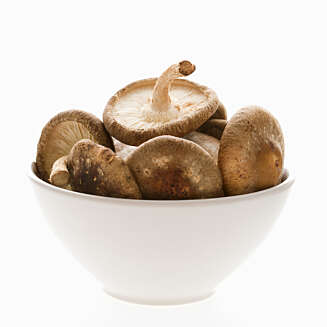 SHITAKE: Mye brukt sopp i japansk kjøkken. Selges fersk og tørket for bløtlegging. SHITAKE: Mye brukt sopp i japansk kjøkken. Selges fersk og tørket for bløtlegging.