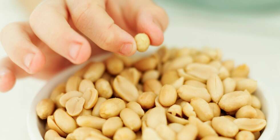 FARLIG: Peanøttallergi blir mer utbredt, og barn som får det er gjerne rammet livet ut. FARLIG: Peanøttallergi blir mer utbredt, og barn som får det er gjerne rammet livet ut.