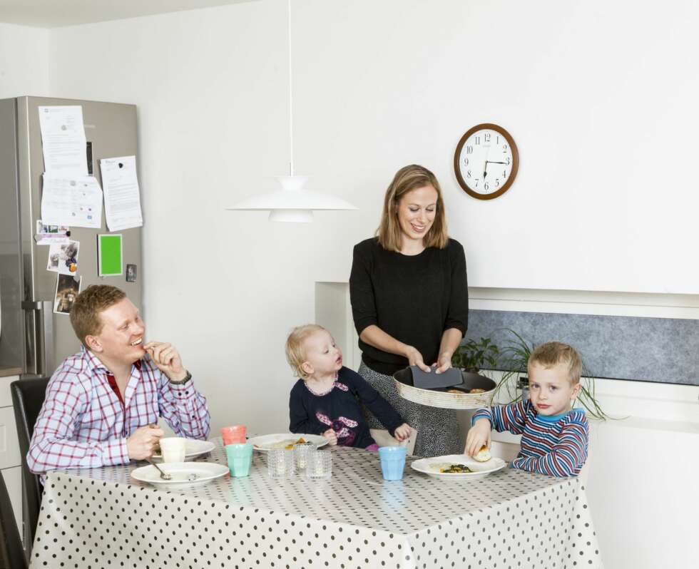 Test av mat på døra. Matkasser. Kolonihagen. Test av mat på døra. Matkasser. Kolonihagen.