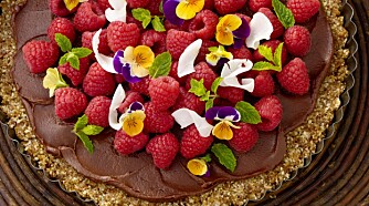 BRINGEBÆRKAKE: Kaker kan også lages med raw food-metoden. Foto: Lisa Westgaard. BRINGEBÆRKAKE: Kaker kan også lages med raw food-metoden. Foto: Lisa Westgaard.