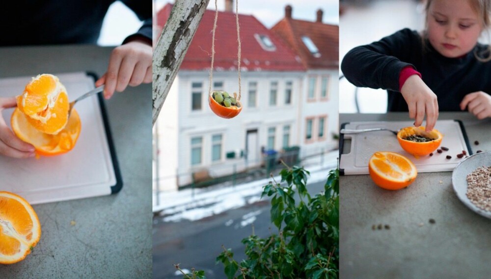 LAGE FUGLEMAT MED BARN: Det fine med å lage fuglemat i appelsinskall er at også beholderen er spiselig. La gjerne barna dele appelsinene om de er vant til å bruke kniv, men delfiafettet bør en voksen håndtere. Det blir veldig varmt! LAGE FUGLEMAT MED BARN: Det fine med å lage fuglemat i appelsinskall er at også beholderen er spiselig. La gjerne barna dele appelsinene om de er vant til å bruke kniv, men delfiafettet bør en voksen håndtere. Det blir veldig varmt!