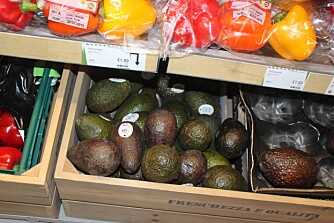 AVOKADO: Sunne fettsyrer bremser aldringsprosessen i huden mener hudlegen. FOTO: Trine Jensen AVOKADO: Sunne fettsyrer bremser aldringsprosessen i huden mener hudlegen. FOTO: Trine Jensen