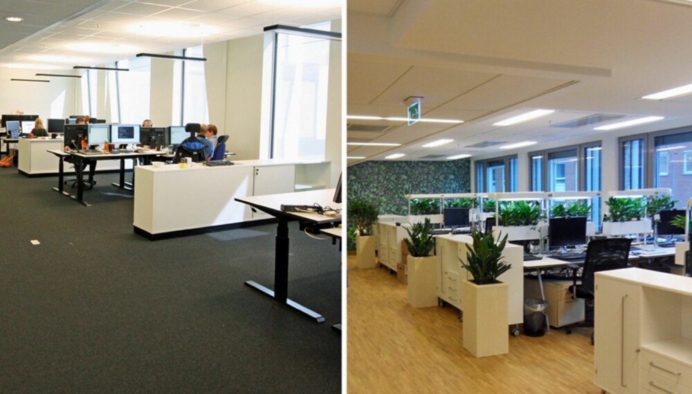 MER PRODUKTIVITET OG TRIVSEL: Forskning viser tydelig at ansatte som jobber i kontorlandskaper med grønne planter opplever en større trivsel og har en høyere produktivitet. MER PRODUKTIVITET OG TRIVSEL: Forskning viser tydelig at ansatte som jobber i kontorlandskaper med grønne planter opplever en større trivsel og har en høyere produktivitet.