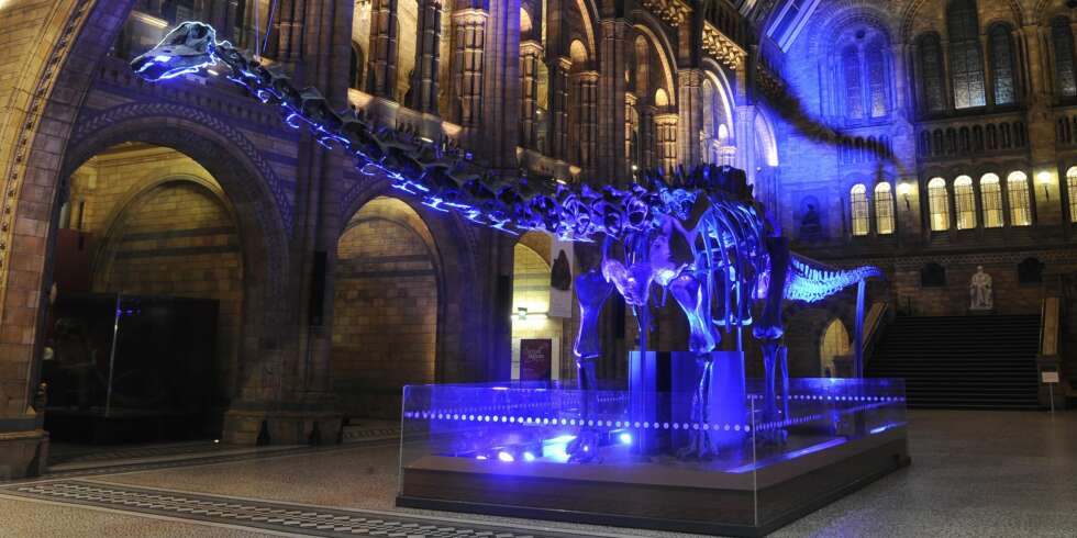 NATURAL HISTORY MUSEUM I LONDON: Denne vil barna elske - og det koster ingenting. FOTO: Visitlondon.com NATURAL HISTORY MUSEUM I LONDON: Denne vil barna elske - og det koster ingenting. FOTO: Visitlondon.com