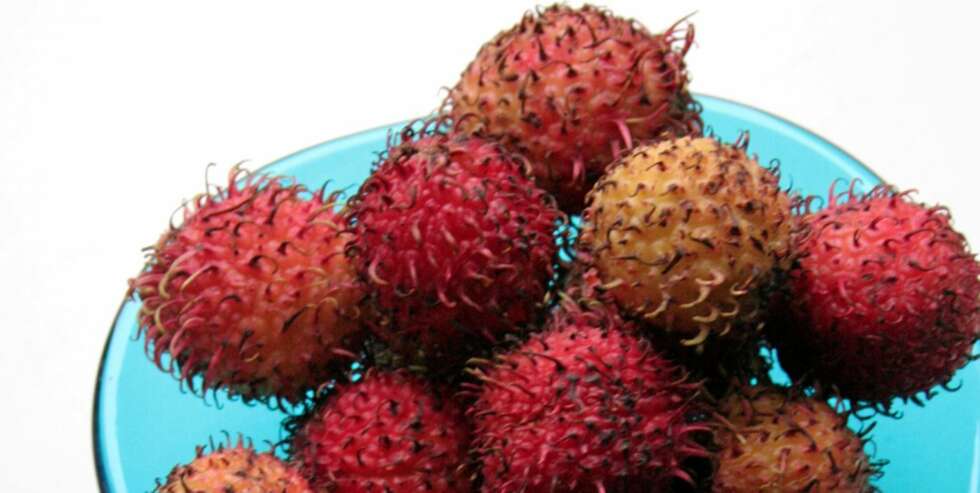 KJÆRLIG FRUKT: Rambutan KJÆRLIG FRUKT: Rambutan