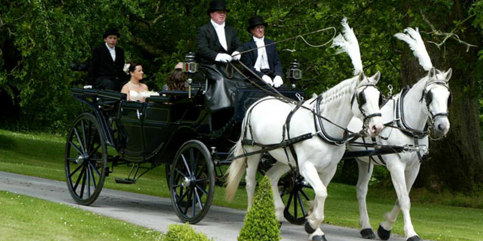 DRØMMEDAG: Hest, kjerre og et flere hundre år gammelt slott trenger ikke skje bare i eventyrene. DRØMMEDAG: Hest, kjerre og et flere hundre år gammelt slott trenger ikke skje bare i eventyrene.