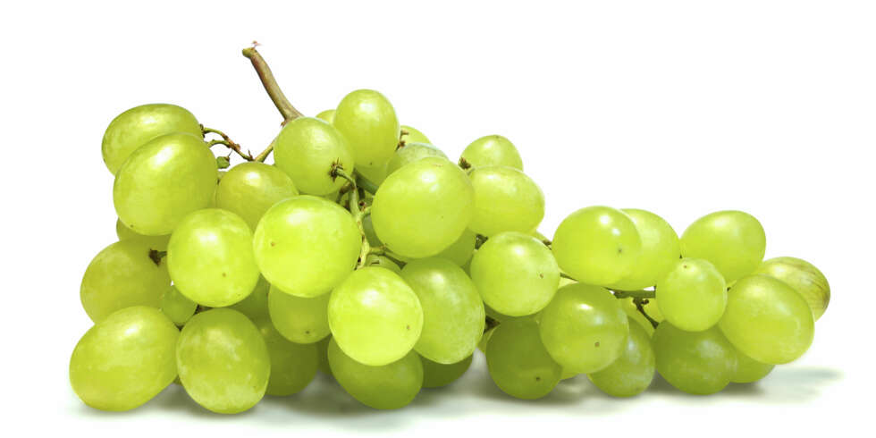 UTEN STEIN: Hvordan kan druer formere seg når de ikke har steiner som kan bli til nye planter? UTEN STEIN: Hvordan kan druer formere seg når de ikke har steiner som kan bli til nye planter?