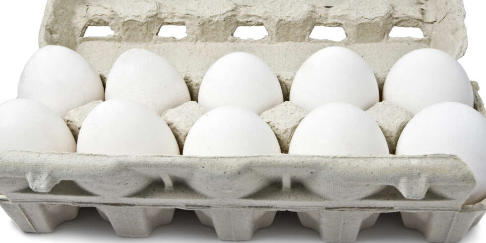 HOLDBARHET: Hvorfor har egg så kort utløpsdato, i forhold til den egentlige holdbarhet? Og du har neppe hørt om trikset som gjør at egget holder enda lengre. HOLDBARHET: Hvorfor har egg så kort utløpsdato, i forhold til den egentlige holdbarhet? Og du har neppe hørt om trikset som gjør at egget holder enda lengre.