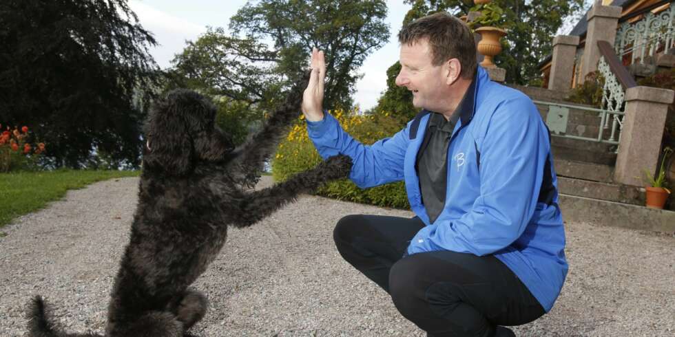 High Five!: Jon Gelius og Sally har byttet ut «gi labb» med «high five». - Hun er tross alt amerikansk, ler NRKs nyhetsanker. High Five!: Jon Gelius og Sally har byttet ut «gi labb» med «high five». - Hun er tross alt amerikansk, ler NRKs nyhetsanker.