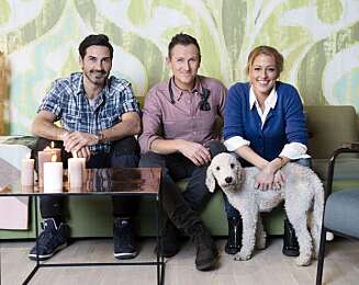 TV-TRIO: Jannecke er programleder i ""Norges styggeste rom"" på TV 3, sammen med stjernestylist Halvor Bakke og snekker-kjekkas Torkel Gjerset. TV-TRIO: Jannecke er programleder i ""Norges styggeste rom"" på TV 3, sammen med stjernestylist Halvor Bakke og snekker-kjekkas Torkel Gjerset.