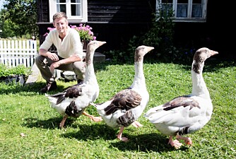 BRUSER MED FJÆRENE: Gaute Grøtta Grav gleder seg stort til å lede denne sesongen av «Farmen». - Jeg er både stolt og beæret over at «Farmen» er like populært nå som tidligere, sier han. BRUSER MED FJÆRENE: Gaute Grøtta Grav gleder seg stort til å lede denne sesongen av «Farmen». - Jeg er både stolt og beæret over at «Farmen» er like populært nå som tidligere, sier han.