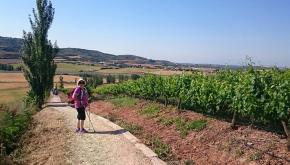 PILEGRIMSVANDRING: Dette flotte bildet ble sendt inn av Torill Johanne Heggeblom. Hun gikk deler av pilegrimsveien til Santiago de Compostela i Spania i sommer. PILEGRIMSVANDRING: Dette flotte bildet ble sendt inn av Torill Johanne Heggeblom. Hun gikk deler av pilegrimsveien til Santiago de Compostela i Spania i sommer.