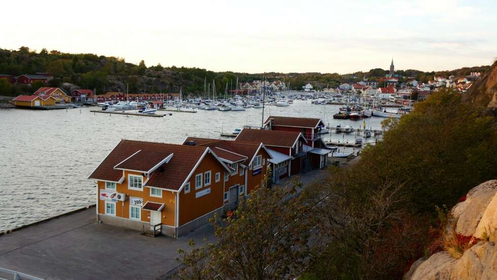FAVORITT: Grebbestad i Tanum er en liten perle, med en brygge som i høysesongen syder av liv. FAVORITT: Grebbestad i Tanum er en liten perle, med en brygge som i høysesongen syder av liv.