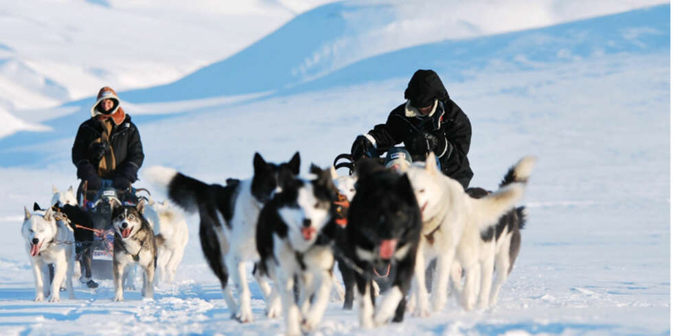 OPPLEVELSE: En av de mest populære utfluktene på Svalbard er hundespann-kjøring. OPPLEVELSE: En av de mest populære utfluktene på Svalbard er hundespann-kjøring.