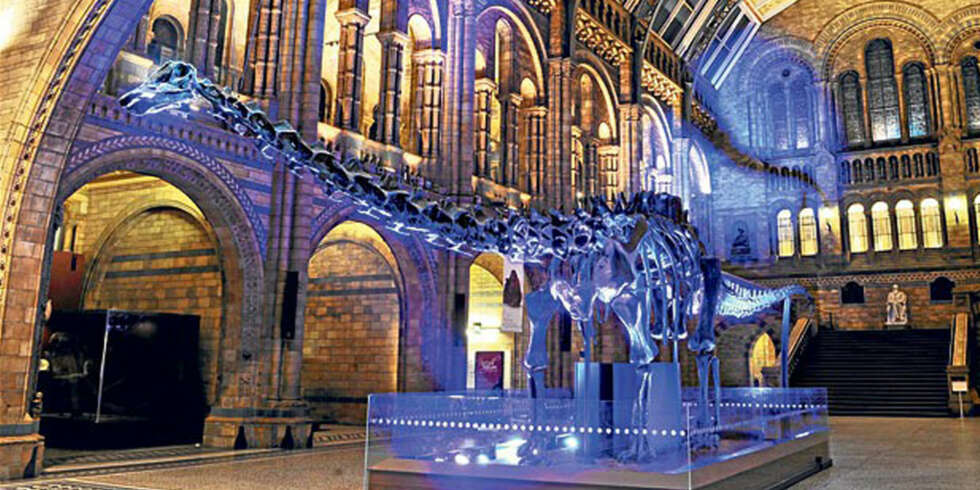 DINOSAURER: Disse spennende utstillingene finner du på Londons Natural History Museum. DINOSAURER: Disse spennende utstillingene finner du på Londons Natural History Museum.
