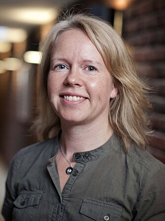 KARI STEEN -JOHNSEN: Forsker ved Institutt for samfunnsforskning. KARI STEEN -JOHNSEN: Forsker ved Institutt for samfunnsforskning.