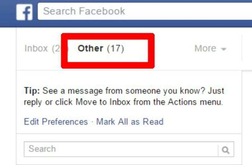 ANNET: I boksen "annet" finner du meldinger som Facebook kanskje tror er spam. ANNET: I boksen "annet" finner du meldinger som Facebook kanskje tror er spam.