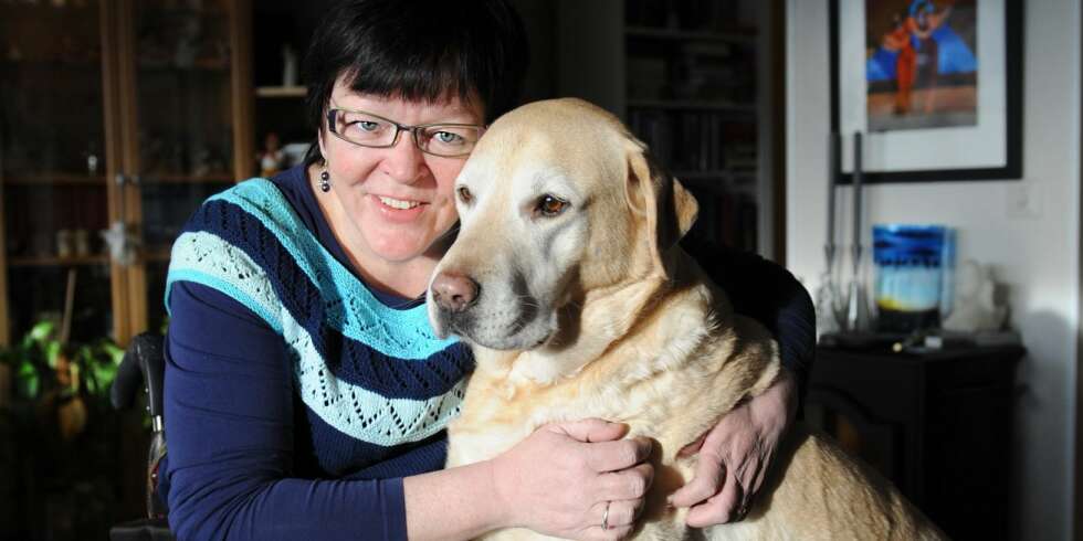 MATMORS BESTE VENN: Etter at Anne-Margrethe ble lam har en servicehund vært uunnværlig. - Marvin er utvilsomt min beste venn, sier hun. MATMORS BESTE VENN: Etter at Anne-Margrethe ble lam har en servicehund vært uunnværlig. - Marvin er utvilsomt min beste venn, sier hun.