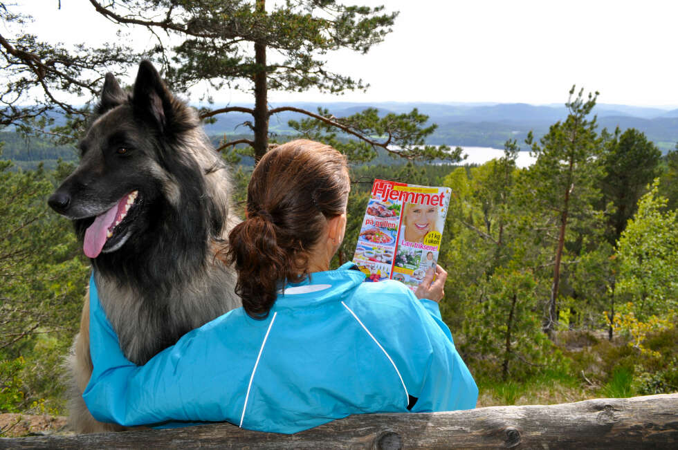 KAMMERHERRENS UTSIKT: Hunden min Zorro og jeg hadde en flott tur til Kammerherrens utsikt i Skien. Her koste vi oss med Hjemmet og den flotte utsikten. KAMMERHERRENS UTSIKT: Hunden min Zorro og jeg hadde en flott tur til Kammerherrens utsikt i Skien. Her koste vi oss med Hjemmet og den flotte utsikten.
